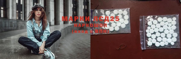 мяу мяу мука Баксан