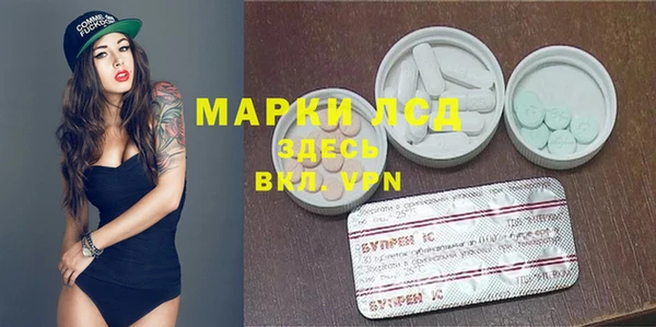 мяу мяу мука Баксан