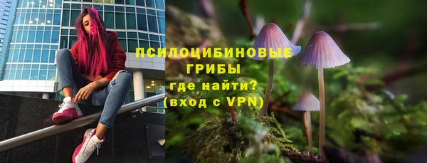 тгк Балахна